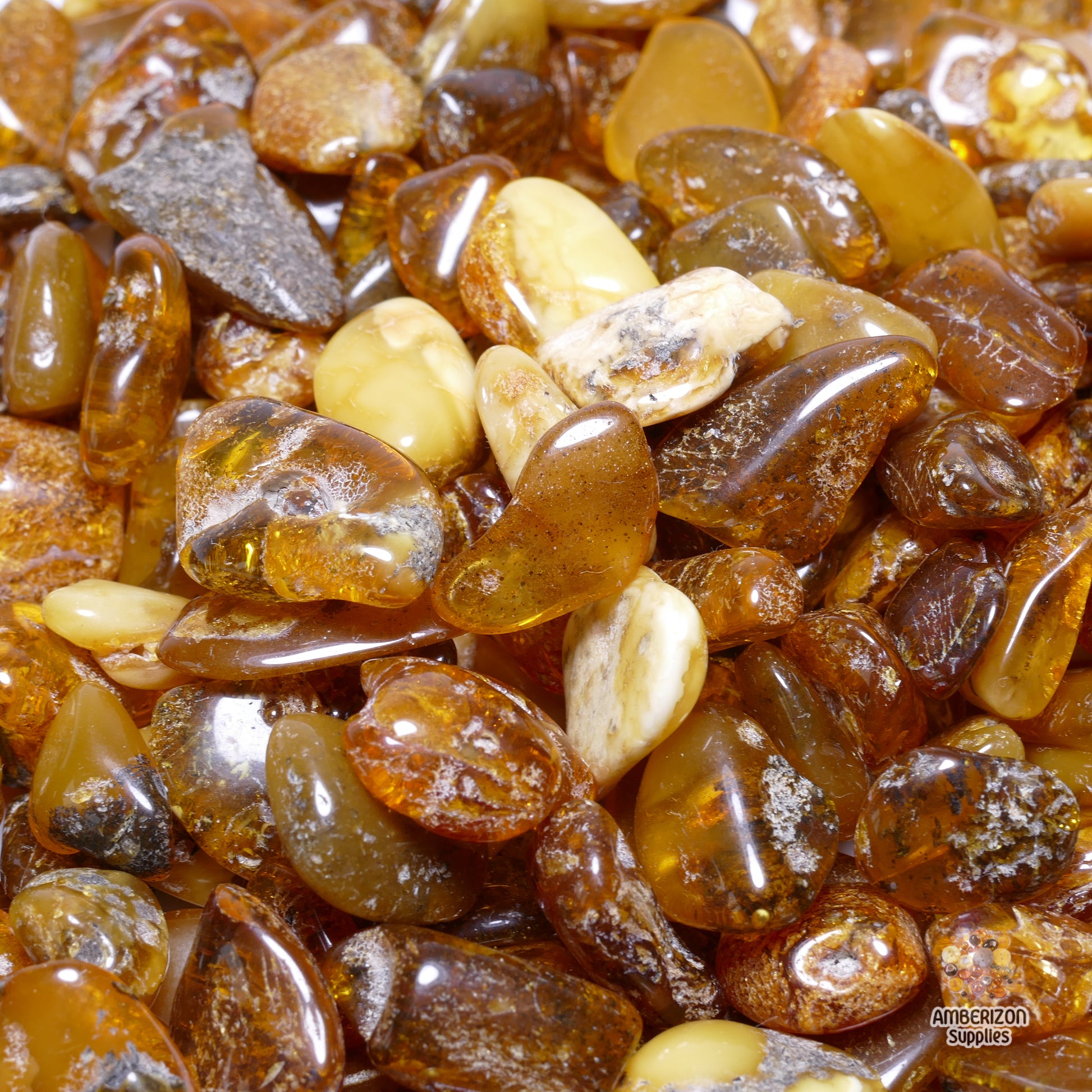 Opaque tumbled Baltic amber stones loose pieces for crafting, healing, or jewelry making
