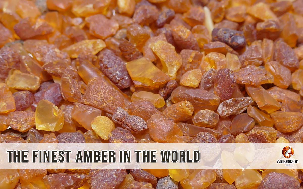 Best baltic clearance amber