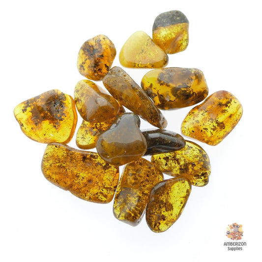Genuine Baltic Amber Tumbled Stones (Set of 5) - Authentic succinite in golden-honey-green hues