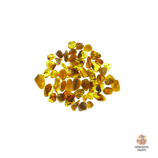 Genuine Baltic Amber Tumbled Stones (Set of 5) - Authentic succinite in golden-honey-green hues